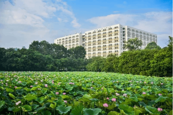 Campus View