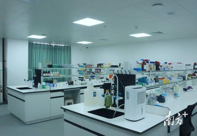 大动物模型研究院配套大动物影像学、病理学和行为学研究仪器设备，以及分子、细胞和胚胎操作研究仪器设备。