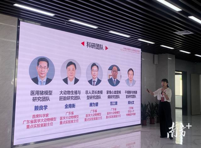 大动物模型研究院现拥有5支团队，分别由赖良学、金南衡、范江霖、郑允文等生物医药领域权威专家带领。