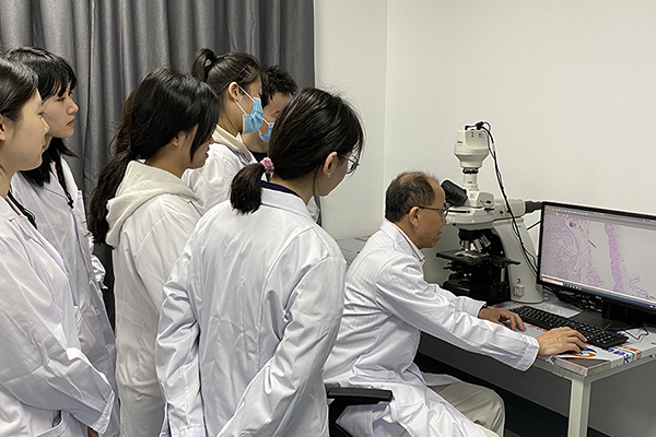 Research Teams